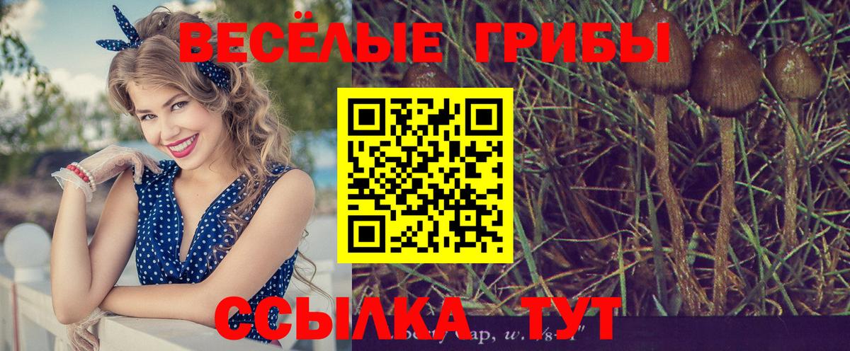 Псилоцибиновые грибы Малоярославец